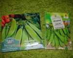 mangetout