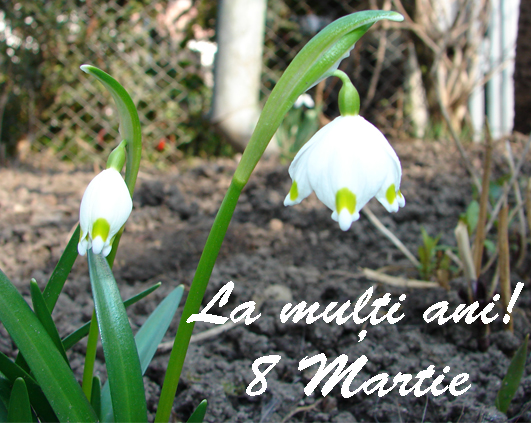 8martie