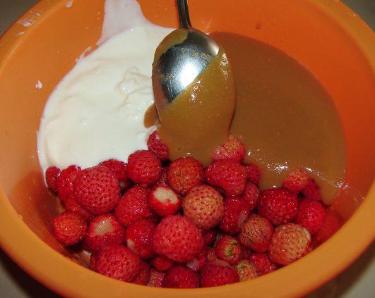 ingrediente inghetata