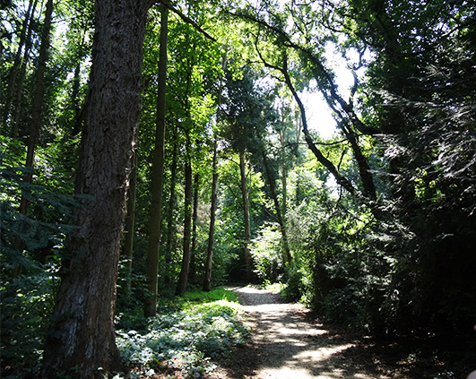 simeria_0001_DSC03582