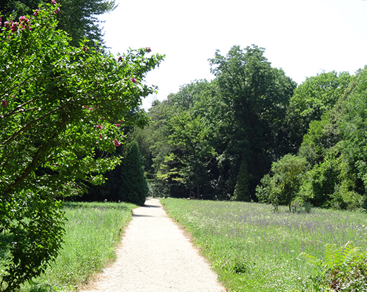 simeria_0002_DSC03550