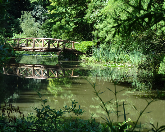 simeria_0004_DSC03405