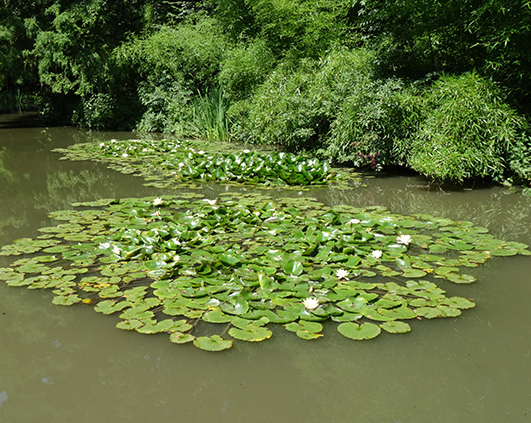 simeria_0006_DSC03396