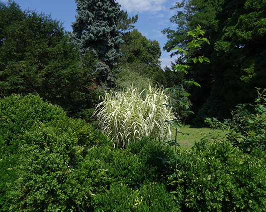 simeria_0008_DSC03357