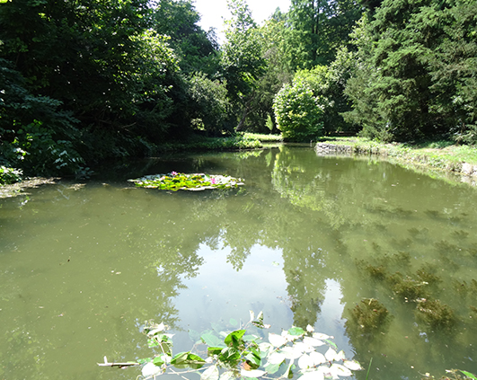 simeria_0009_DSC03619