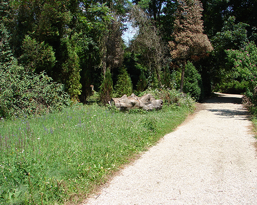 simeria_0015_DSC00506