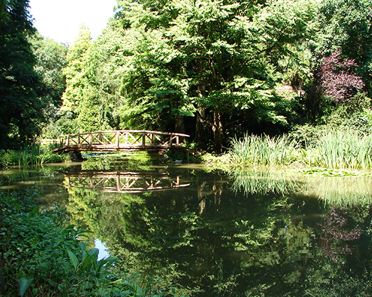 simeria_0021_DSC00467