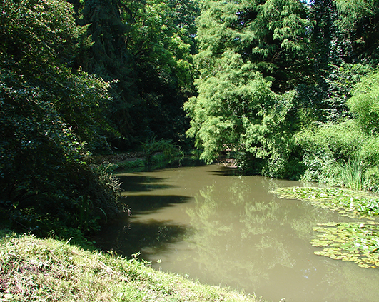 simeria_0023_DSC00454