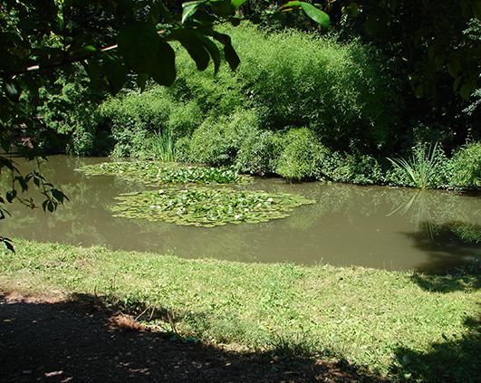 simeria_0024_DSC00453