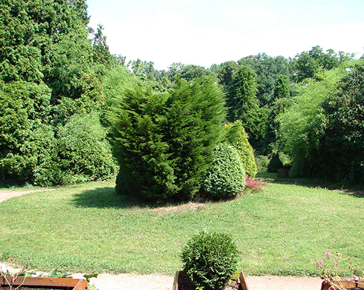 simeria_0026_DSC00438