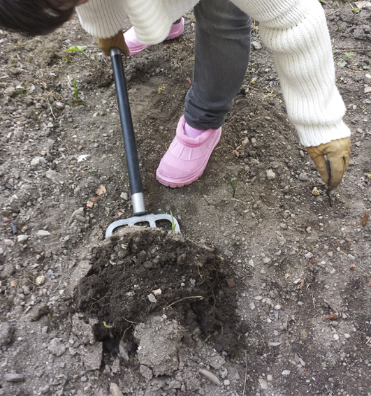 furca_bucata de pamant