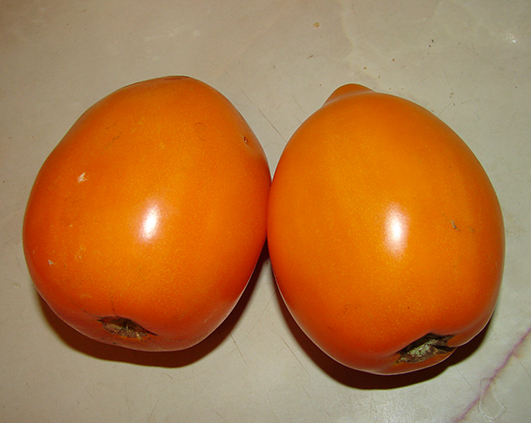 tomate