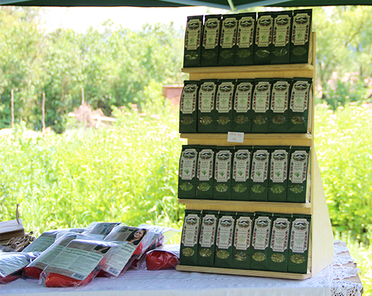 mirodenii_0001_IMG_2832