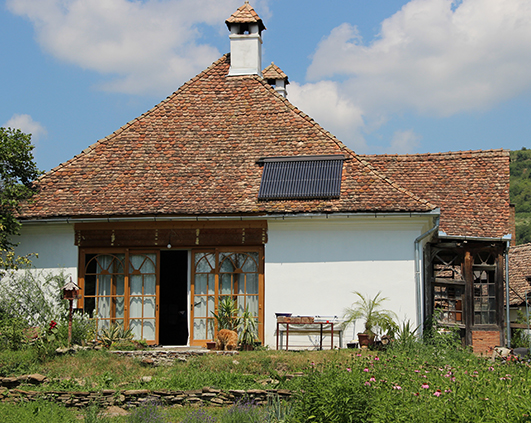 mirodenii_0004_IMG_2824