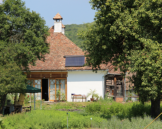 mirodenii_0006_IMG_2789