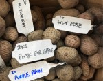 potatoes